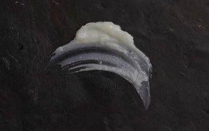 Kaolin + Coconut Milk Radiant Cleansing Balm Mini